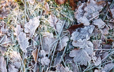 CLICK HERE TO MOVE ON TO FIELD THREE